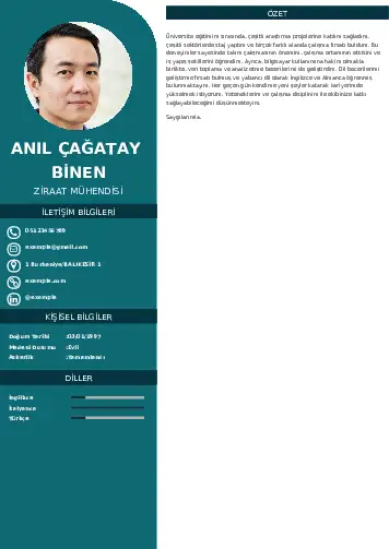 Ziraat Mühendisi Cv Örnekleri cv indir